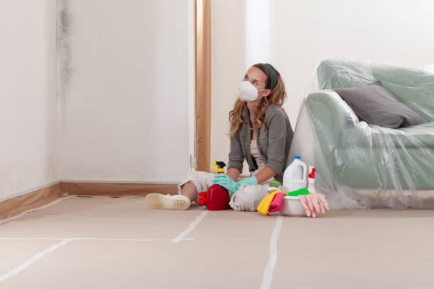 Reliable Mold Testing contractor in Dayton, OR by WQB Mold Removal